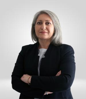 Somayeh Mohebi_Staff Size