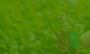 KKTC Meslek Liseleri Arası Bilgi ve Beceri Yarışması Güzellik Hizmetleri-04.jpg.jpeg