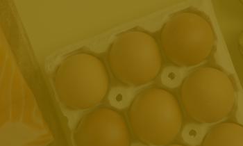 Facts about vitamin D-04.jpg