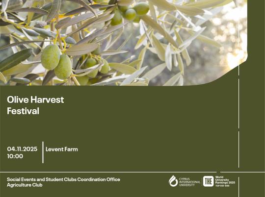 ciu-olive-harvest-festival-webK
